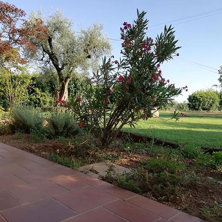 Villa Caterina Country Apartment Bedizzole Esterno foto