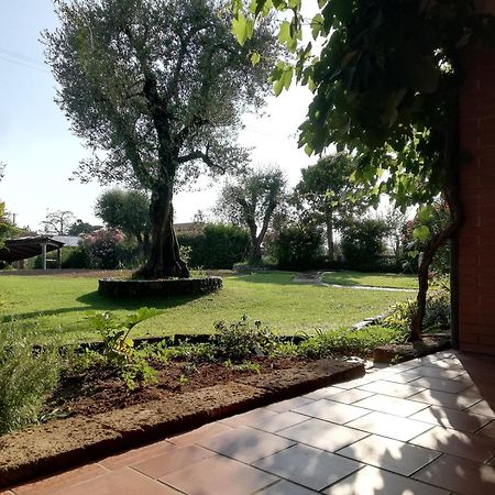 Villa Caterina Country Apartment Bedizzole Esterno foto