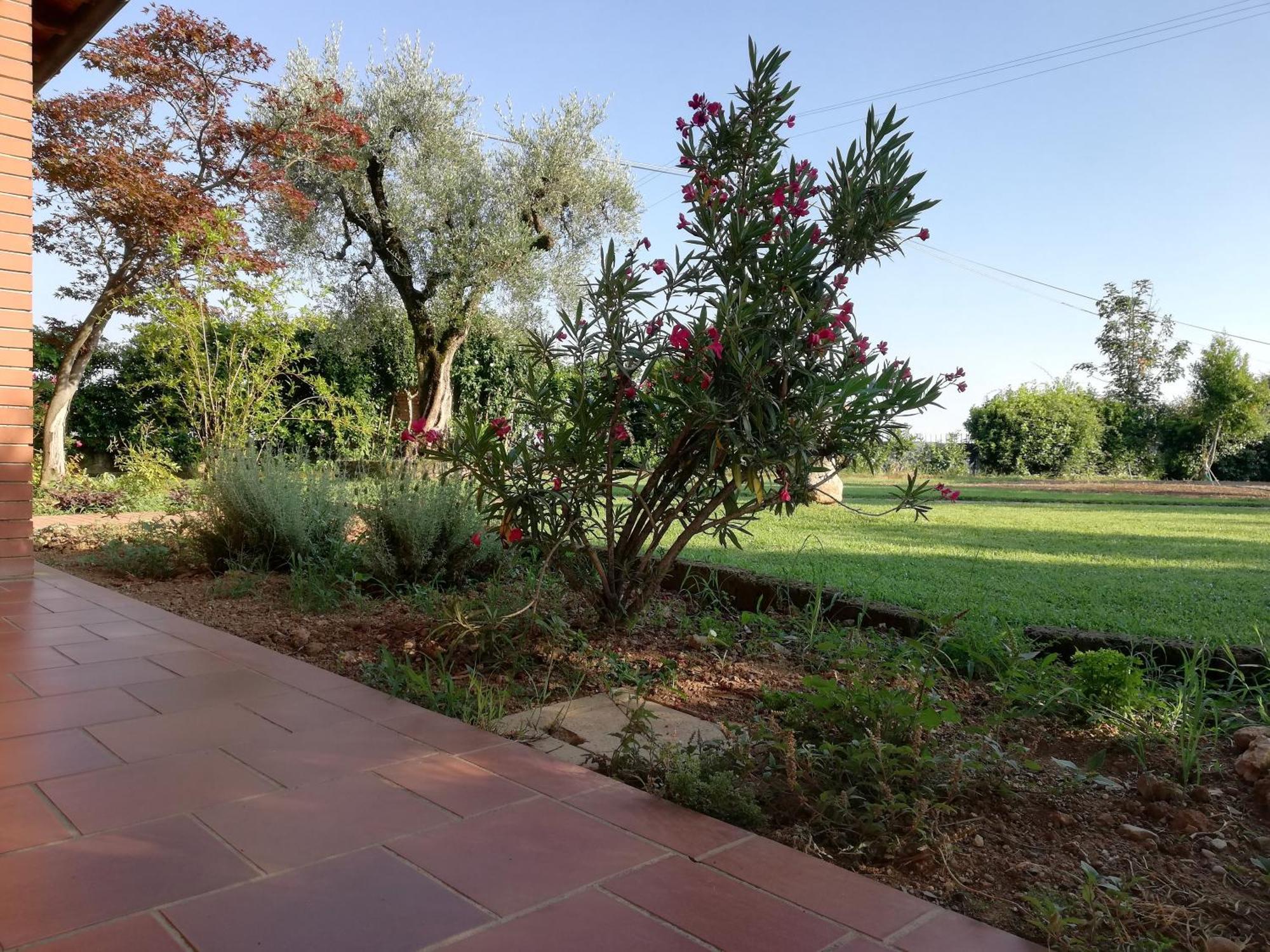 Villa Caterina Country Apartment Bedizzole Esterno foto